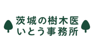 樹木医いとう