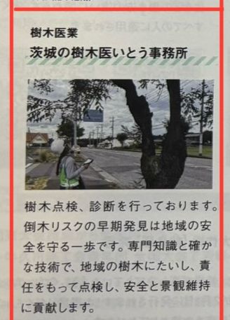 広報誌・樹木診断