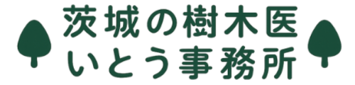 茨城の樹木医 いとう事務所