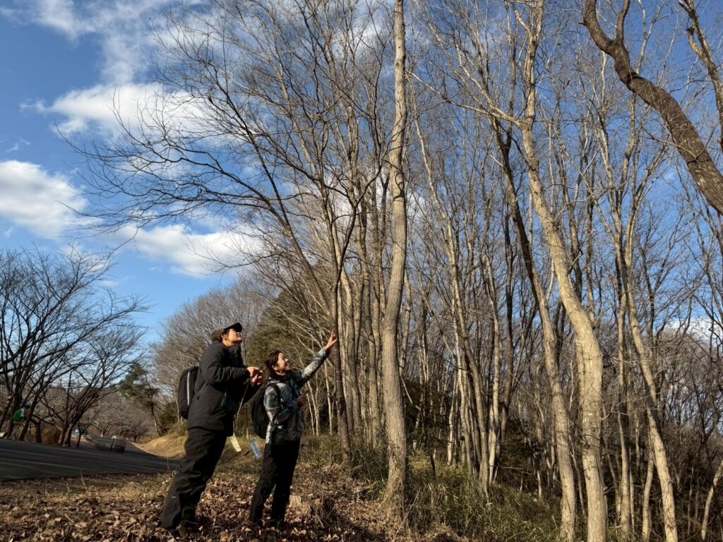 水戸市森林公園