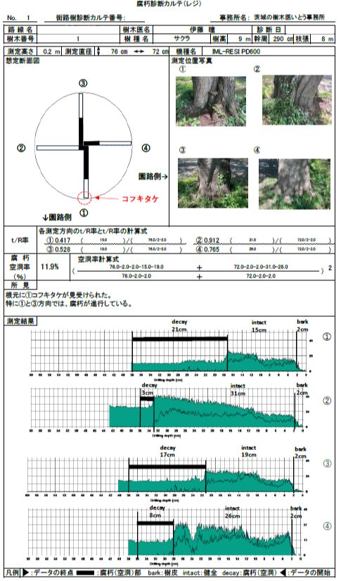 レジストグラフを使用した樹木診断カルテ