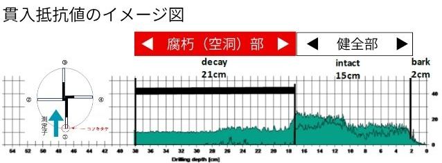 レジストグラフ機器診断