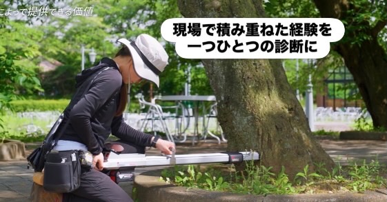樹木診断