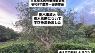 樹木医会
