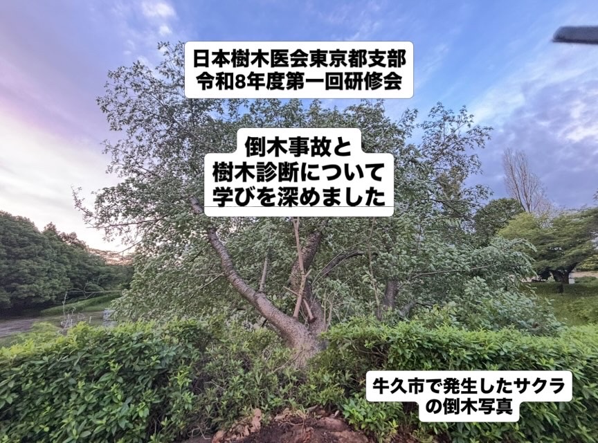 樹木医会
