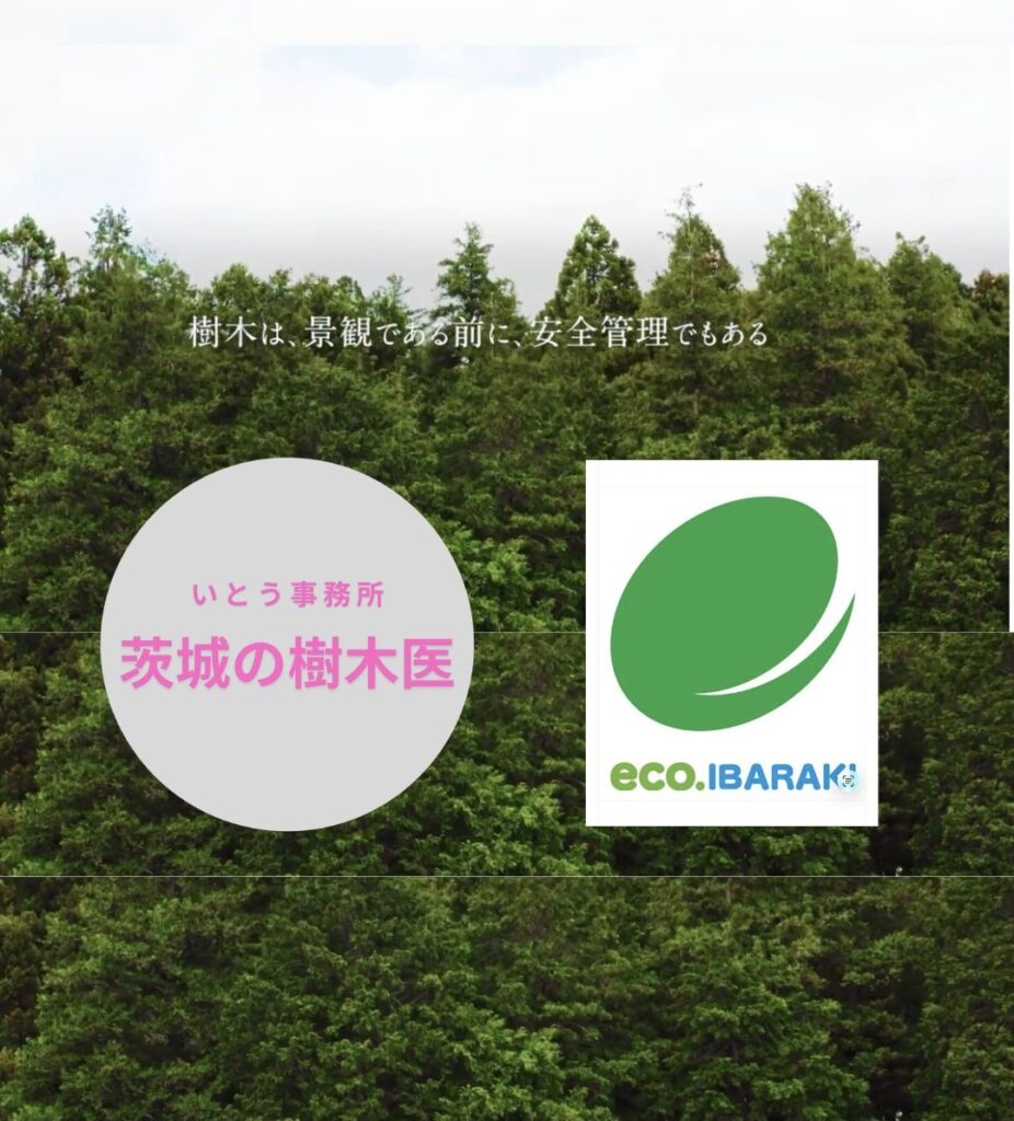 茨城エコ事業所