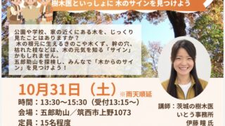 里山体験