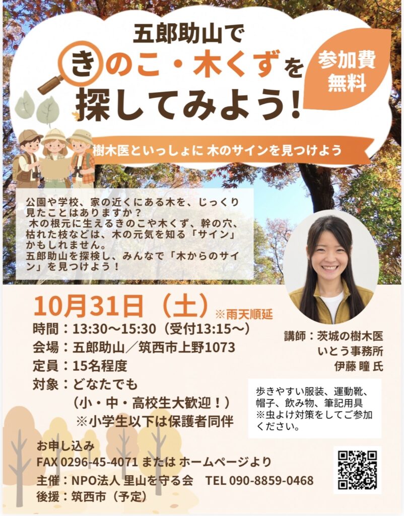 里山体験